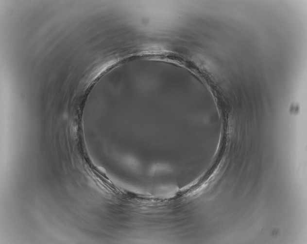 X0000094181401200711020954