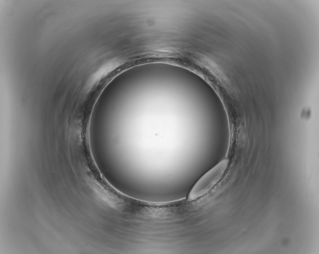 X0000094181402200711020954