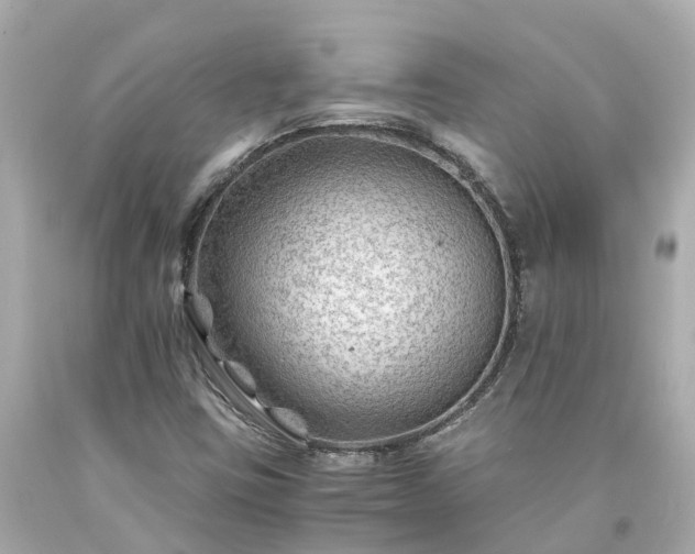 X0000094181403200711020954
