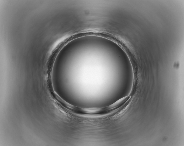 X0000094181406200711020954
