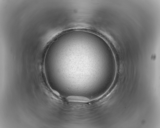 X0000094181407200711020954