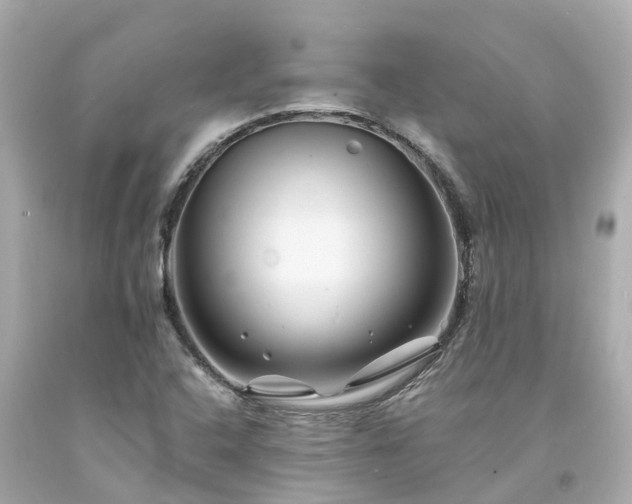 X0000094181408200711020954