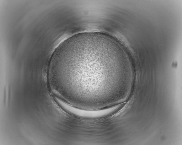 X0000094181409200711020954