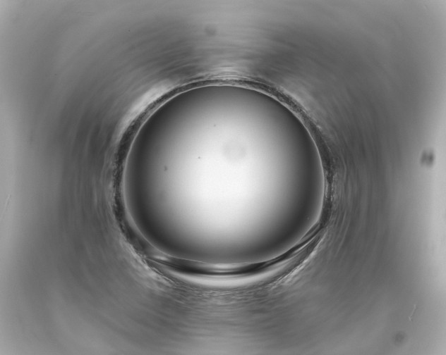X0000094181410200711020954