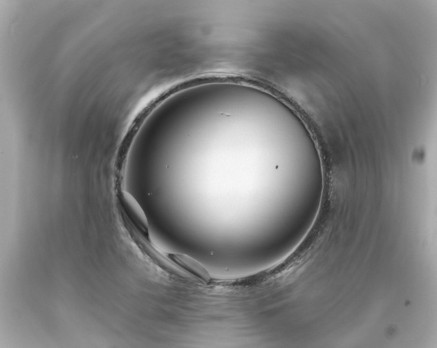 X0000094181412200711020954