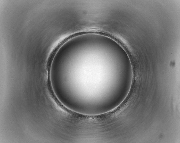 X0000094181414200711020954