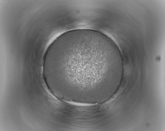 X0000094181415200711020954