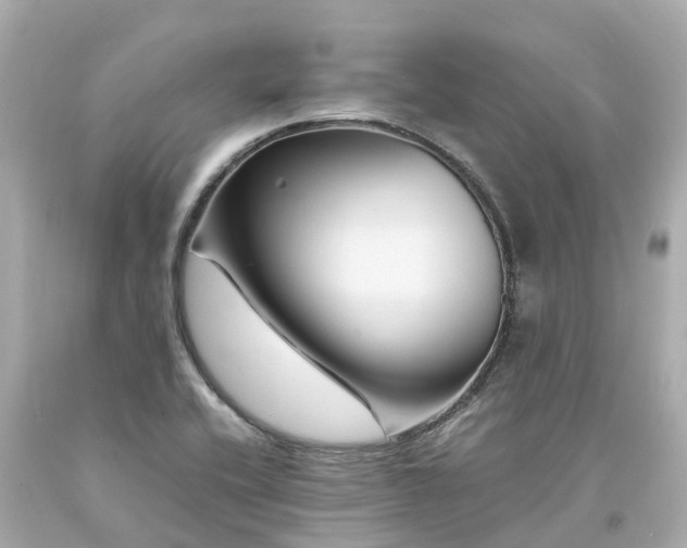 X0000094181416200711020954