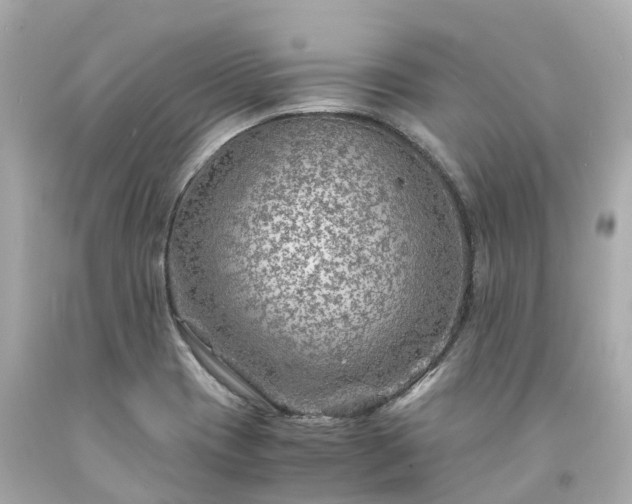 X0000094181417200711020954