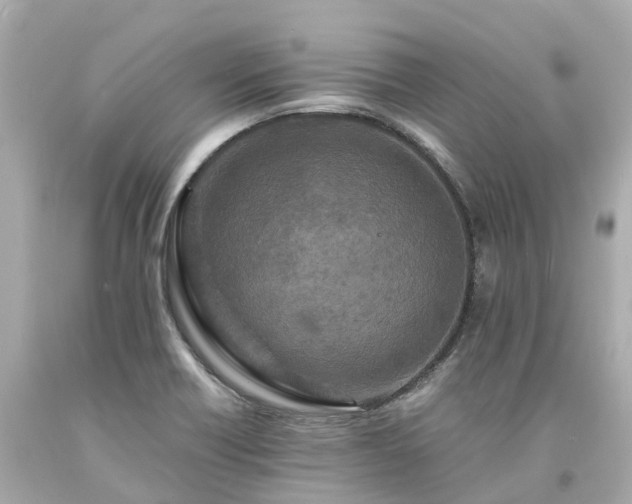 X0000094181418200711020954