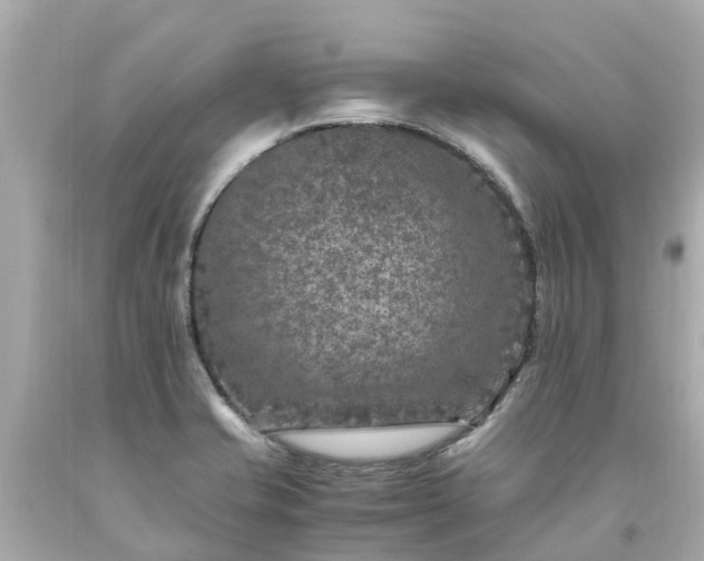 X0000094181421200711020954