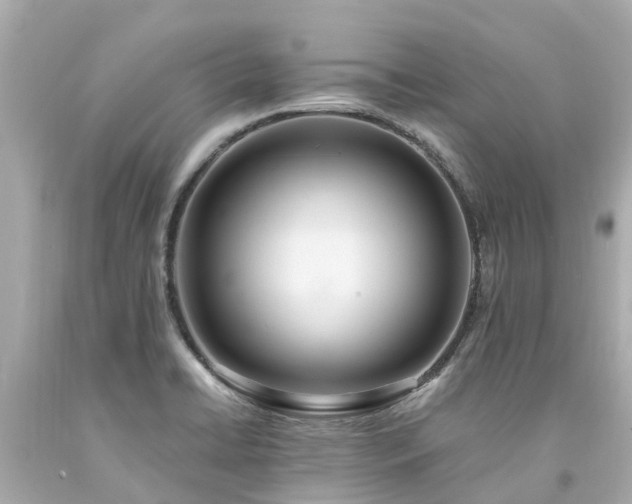 X0000094181422200711020954