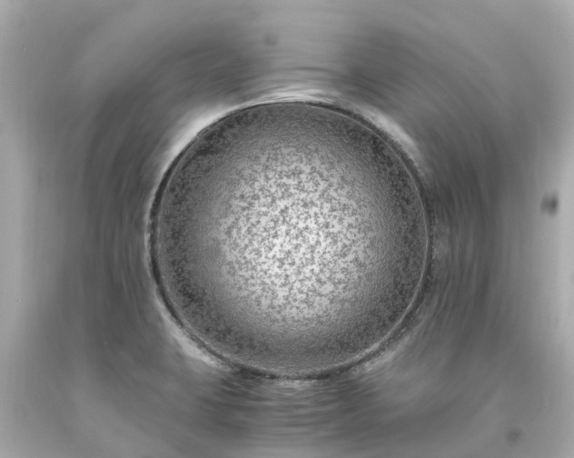 X0000094181423200711020954