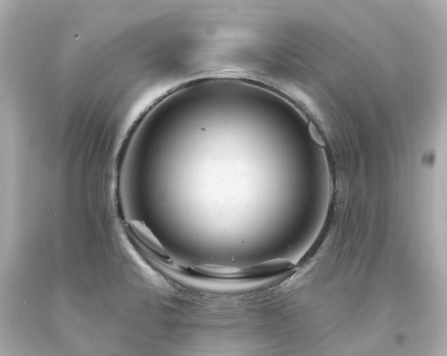 X0000094181424200711020954