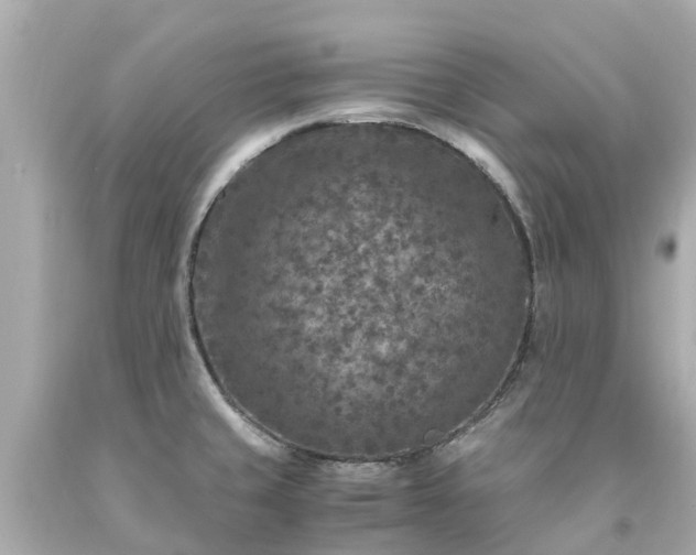 X0000094181429200711020954