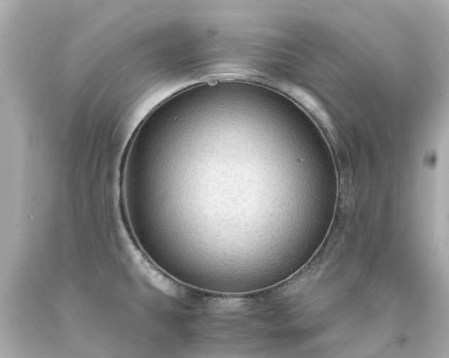 X0000094181431200711020954
