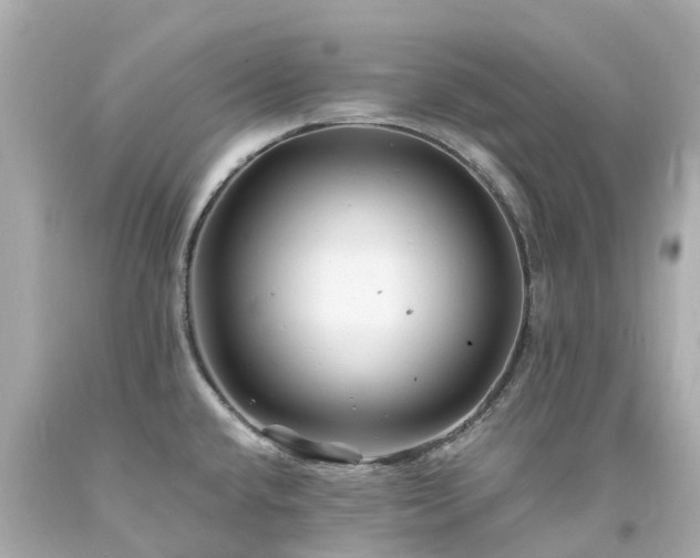 X0000094181432200711020954