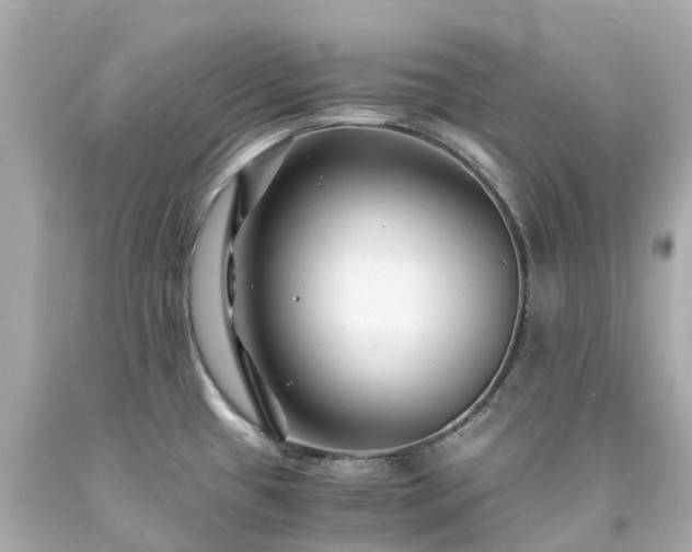 X0000094181433200711020954