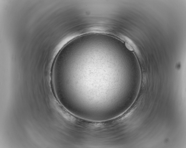 X0000094181435200711020954