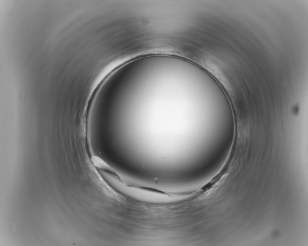 X0000094181436200711020954