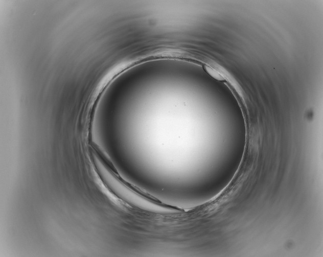 X0000094181437200711020954