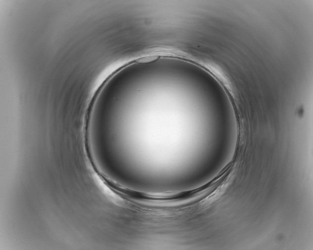 X0000094181438200711020954
