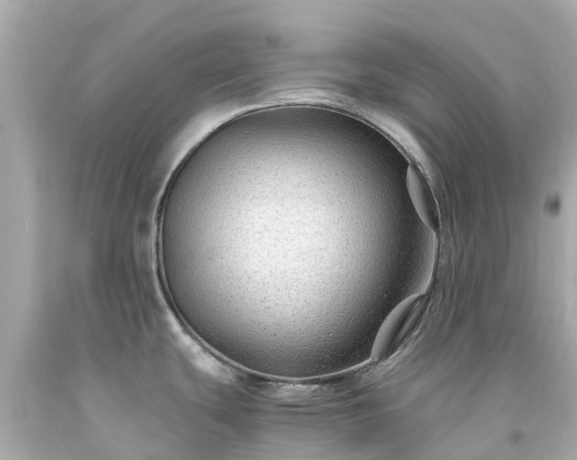 X0000094181439200711020954