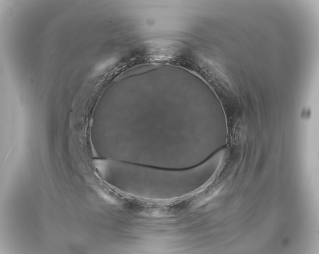 X0000094181441200711020954