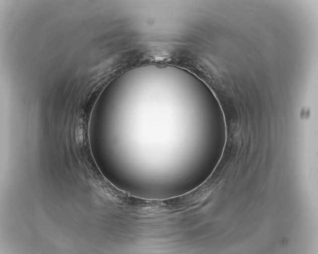 X0000094181442200711020954