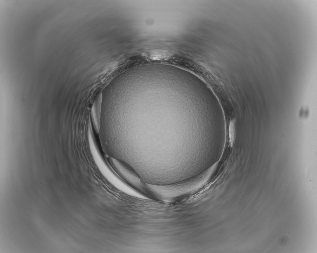 X0000094181443200711020954
