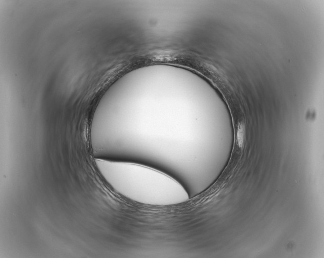 X0000094181444200711020954