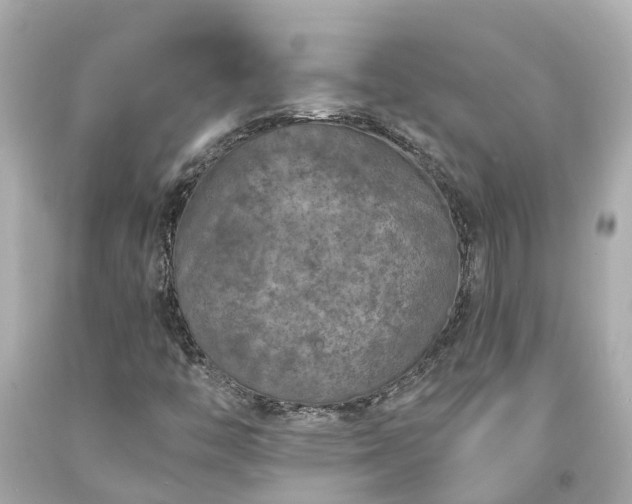 X0000094181446200711020954