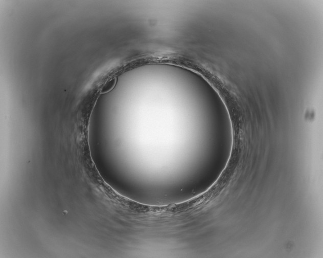 X0000094181447200711020954