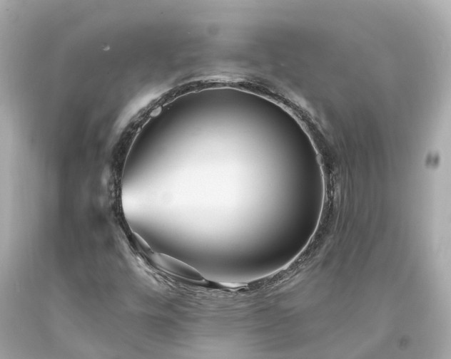 X0000094181448200711020953