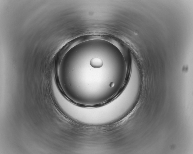 X0000094181449200711020953