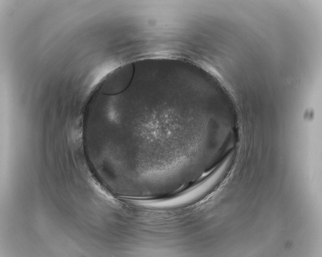 X0000094181450200711020953
