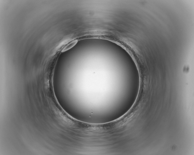 X0000094181451200711020953