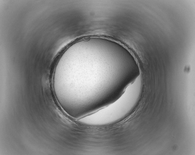 X0000094181452200711020953