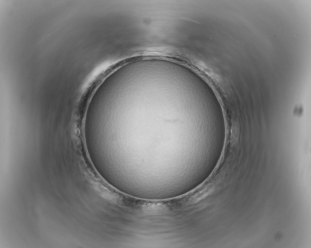 X0000094181454200711020953