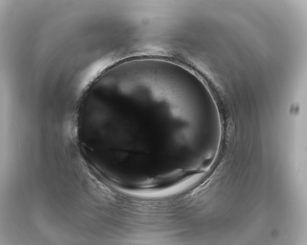 X0000094181455200711020953
