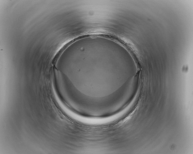 X0000094181457200711020953