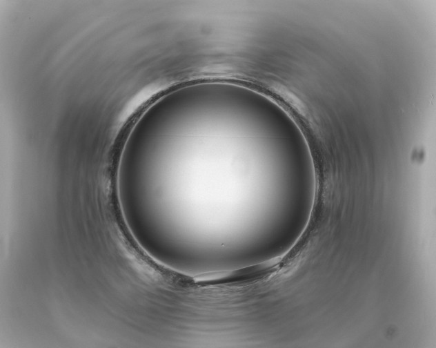 X0000094181458200711020953