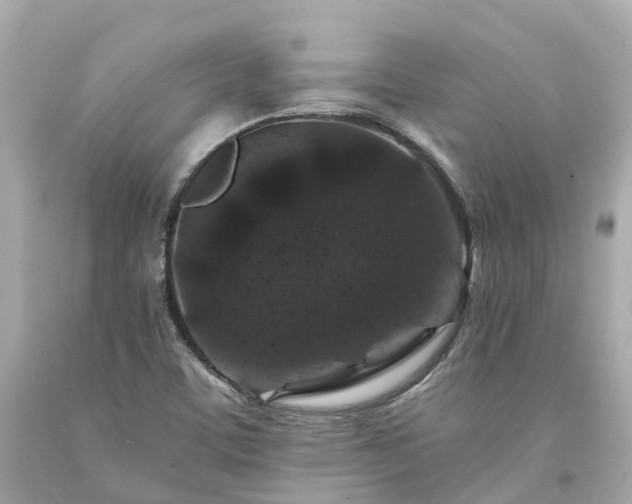 X0000094181459200711020953