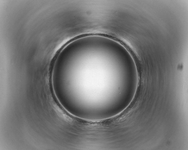 X0000094181460200711020953