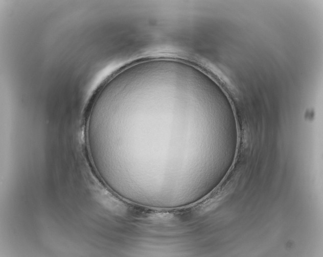X0000094181462200711020953