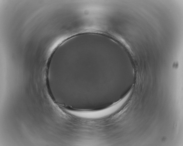 X0000094181463200711020953