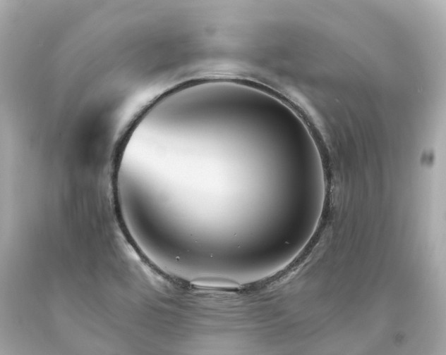 X0000094181464200711020953