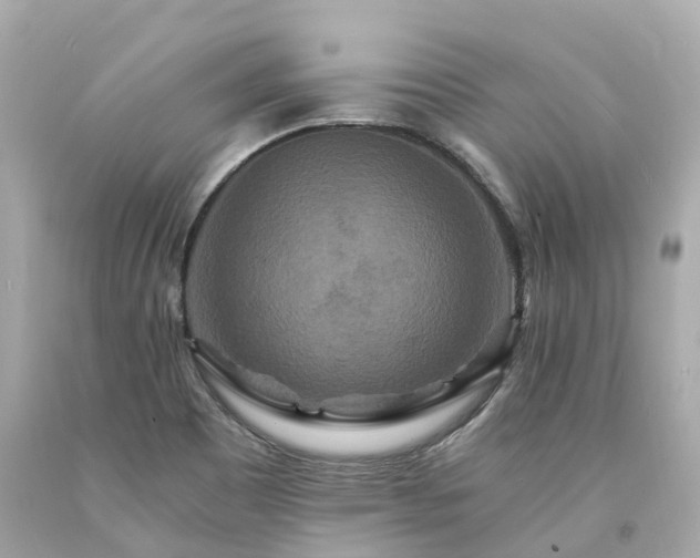 X0000094181465200711020953
