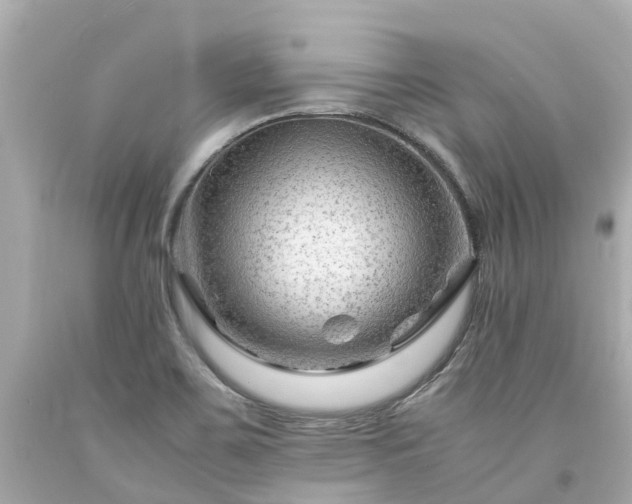 X0000094181467200711020953