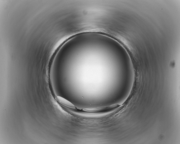 X0000094181468200711020953